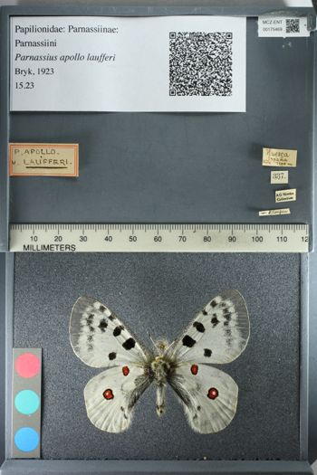 Media type: image;   Entomology 175469